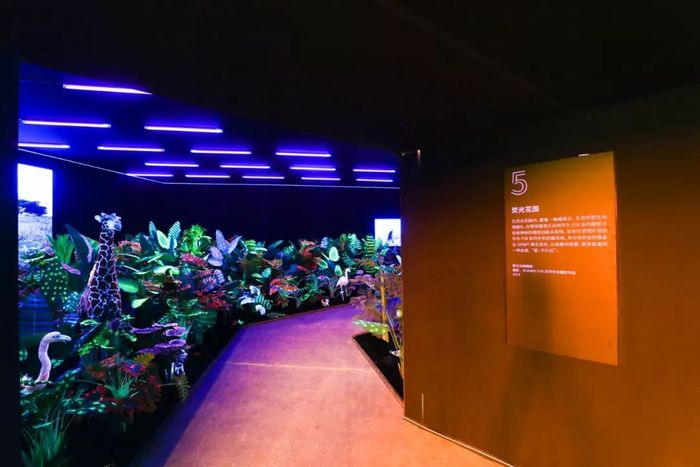 华为手机影像艺术展活动摄影走廊 华为手机影像艺术展活动摄影走廊